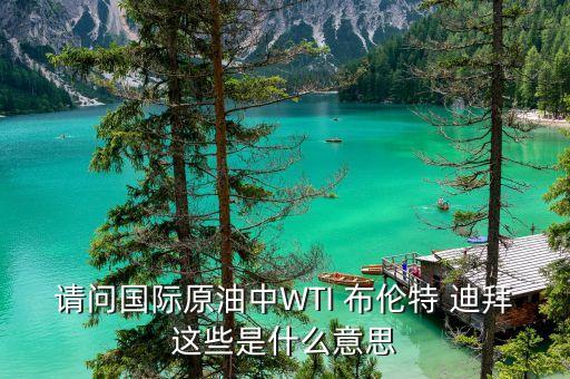 請問國際原油中WTI 布倫特 迪拜這些是什么意思