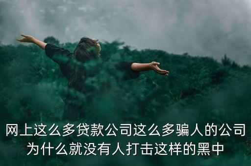 網(wǎng)上這么多貸款公司這么多騙人的公司為什么就沒有人打擊這樣的黑中