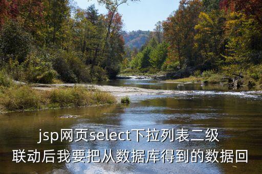 jsp網(wǎng)頁select下拉列表二級(jí)聯(lián)動(dòng)后我要把從數(shù)據(jù)庫得到的數(shù)據(jù)回