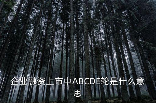 企業(yè)融資上市中ABCDE輪是什么意思