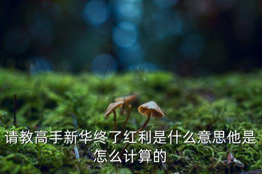 紅利是什么，保險(xiǎn)里的分紅和紅利是一樣嗎