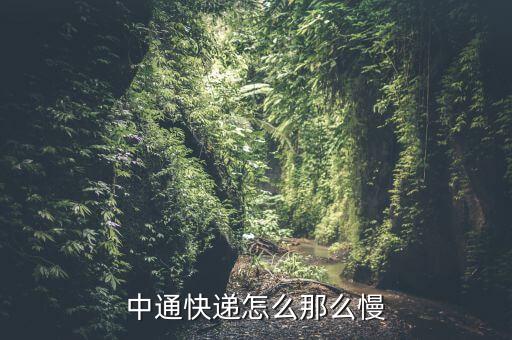 中通快遞怎么那么慢