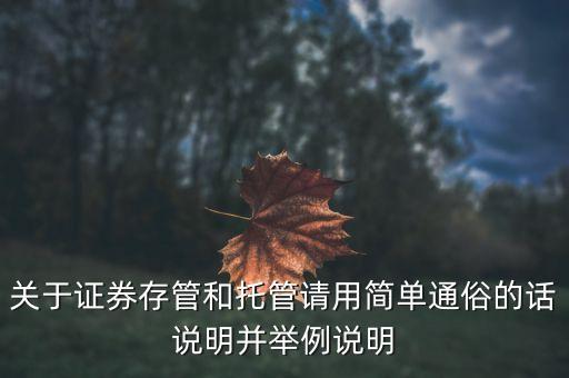 關(guān)于證券存管和托管請(qǐng)用簡(jiǎn)單通俗的話說明并舉例說明