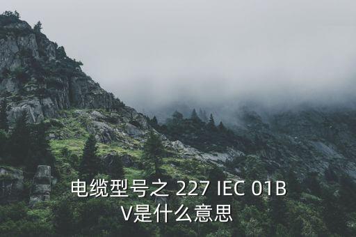 ccv在電纜行業(yè)是什么的縮寫，在電線行業(yè)BCASALMTCCCS是什么意思