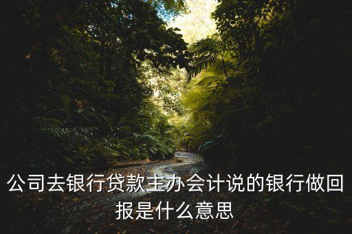 公司去銀行貸款主辦會計說的銀行做回報是什么意思