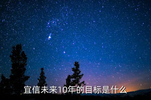 宜信未來10年的目標(biāo)是什么