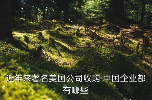 近年來著名美國公司收購 中國企業(yè)都有哪些