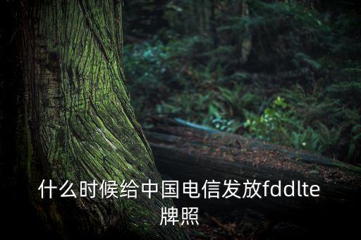 什么時(shí)候給中國(guó)電信發(fā)放fddlte牌照