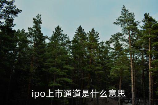 ipo上市通道是什么意思