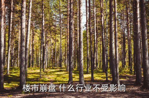 樓市崩盤(pán)后什么不受影響，樓市崩盤(pán) 什么行業(yè)不受影響