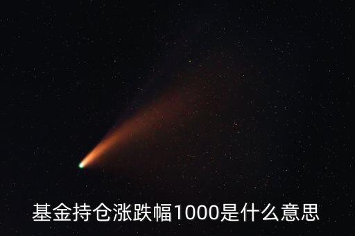 基金持倉漲跌幅1000是什么意思