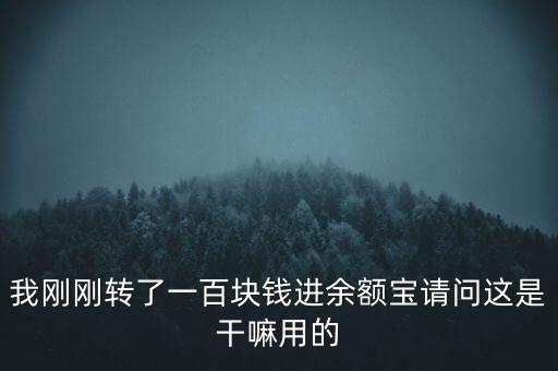 我剛剛轉(zhuǎn)了一百塊錢進(jìn)余額寶請(qǐng)問這是干嘛用的