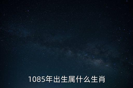 1085年出生屬什么生肖