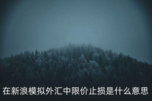 在新浪模擬外匯中限價(jià)止損是什么意思