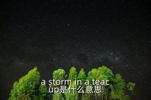 茶杯里的風(fēng)暴什么意思，a storm in a teacup是什么意思