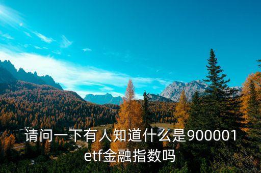 請(qǐng)問一下有人知道什么是900001etf金融指數(shù)嗎