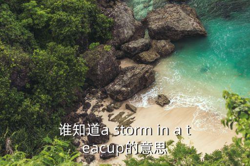 誰知道a storm in a teacup的意思