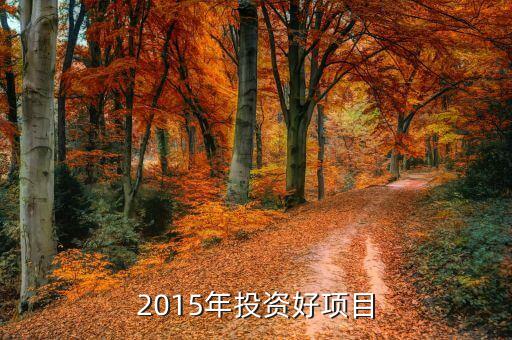 2015年投資好項(xiàng)目