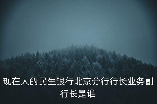 現(xiàn)在人的民生銀行北京分行行長(zhǎng)業(yè)務(wù)副行長(zhǎng)是誰(shuí)