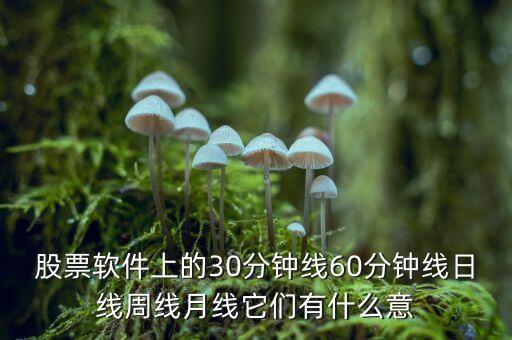 股票軟件上的30分鐘線60分鐘線日線周線月線它們有什么意