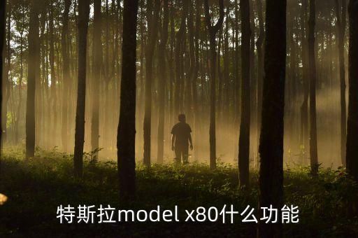 特斯拉x什么時候在中國上市，model x什么時候在中國上市