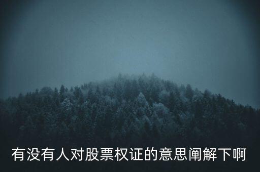 有沒有人對(duì)股票權(quán)證的意思闡解下啊