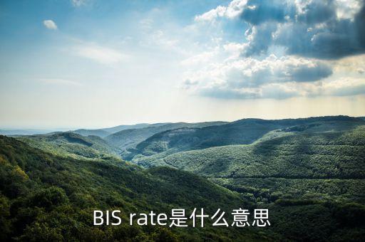 BIS rate是什么意思