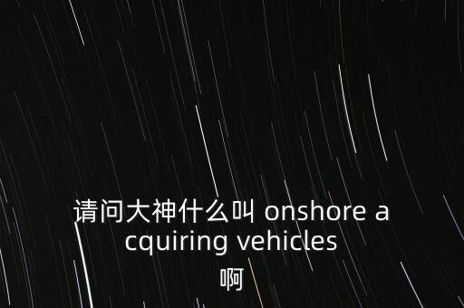 請問大神什么叫 onshore acquiring vehicles啊