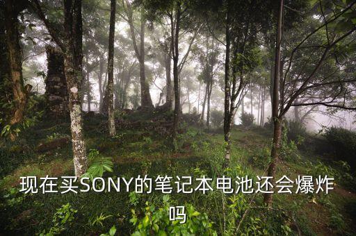 現(xiàn)在買SONY的筆記本電池還會(huì)爆炸嗎