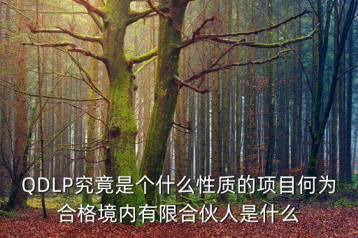 qdlp計劃是什么意思，QDLP究竟是個什么性質(zhì)的項目何為合格境內(nèi)有限合伙人是什么