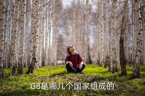 德國為什么抗議g7，G8是哪幾個(gè)國家組成的