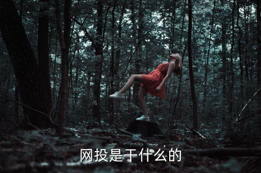 給網(wǎng)站投錢是什么投資，網(wǎng)投是干什么的