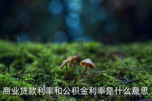 商業(yè)貸款利率和公積金利率是什么意思