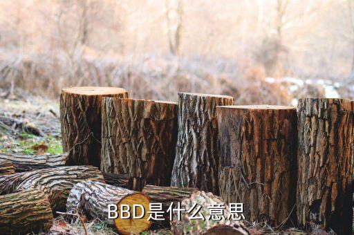 BBD是什么意思