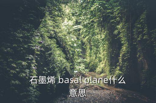 石墨烯 basal plane什么意思