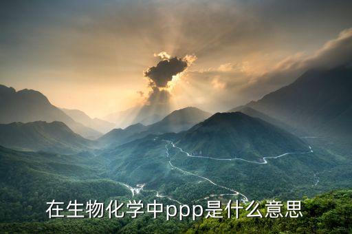 在生物化學(xué)中ppp是什么意思