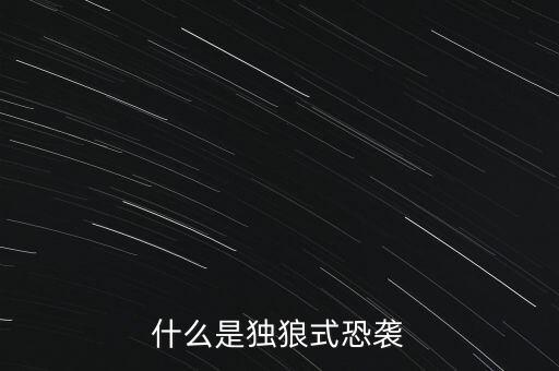 什么是獨(dú)狼式襲擊，獨(dú)狼式恐怖行為是什么