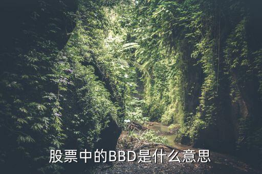 股票中的BBD是什么意思