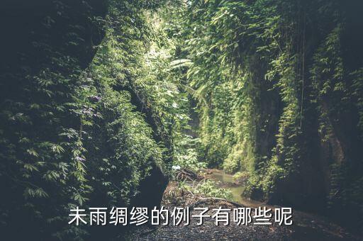 生活中什么事例叫未雨稠募，未雨綢繆的事例有什么