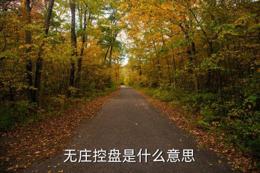 什么是無序控盤，沒有控盤是什么意思