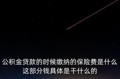 公積金貸款的時候繳納的保險費是什么這部分錢具體是干什么的