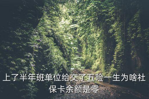 上了半年班單位給交了五險(xiǎn)一生為啥社?？ㄓ囝~是零