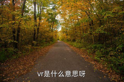 vr是什么意思呀