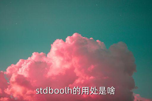 stdboolh的用處是啥