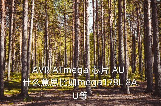 AVR ATmega 芯片 AU 什么意思比如mega128L 8AU等