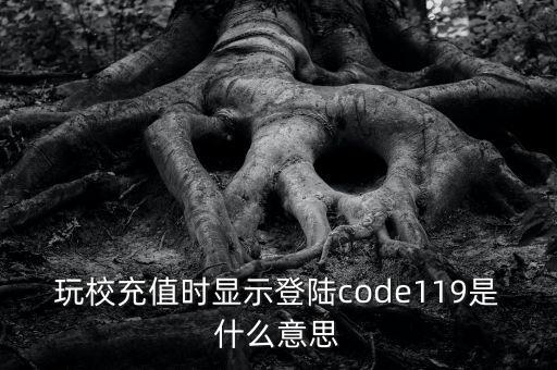 玩校充值時顯示登陸code119是什么意思