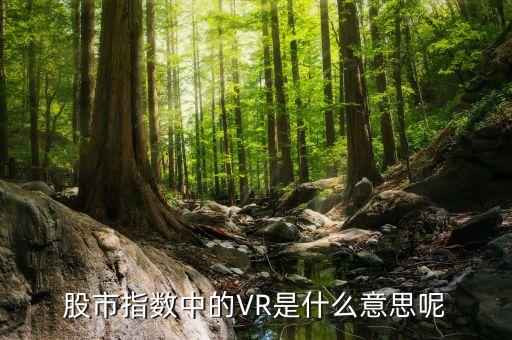 股市指數(shù)中的VR是什么意思呢