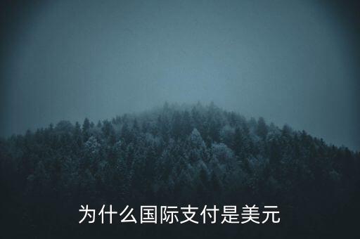 為什么國(guó)際支付是美元