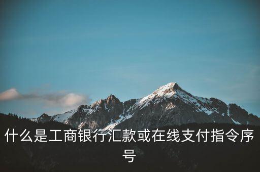 什么是工商銀行匯款或在線支付指令序號