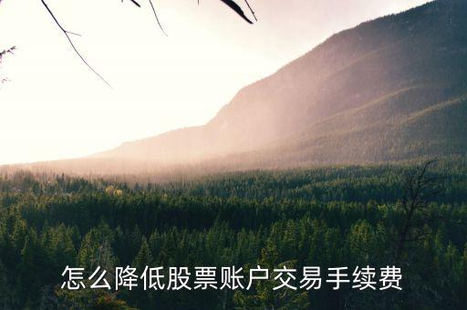 怎么降低股票賬戶交易手續(xù)費(fèi)